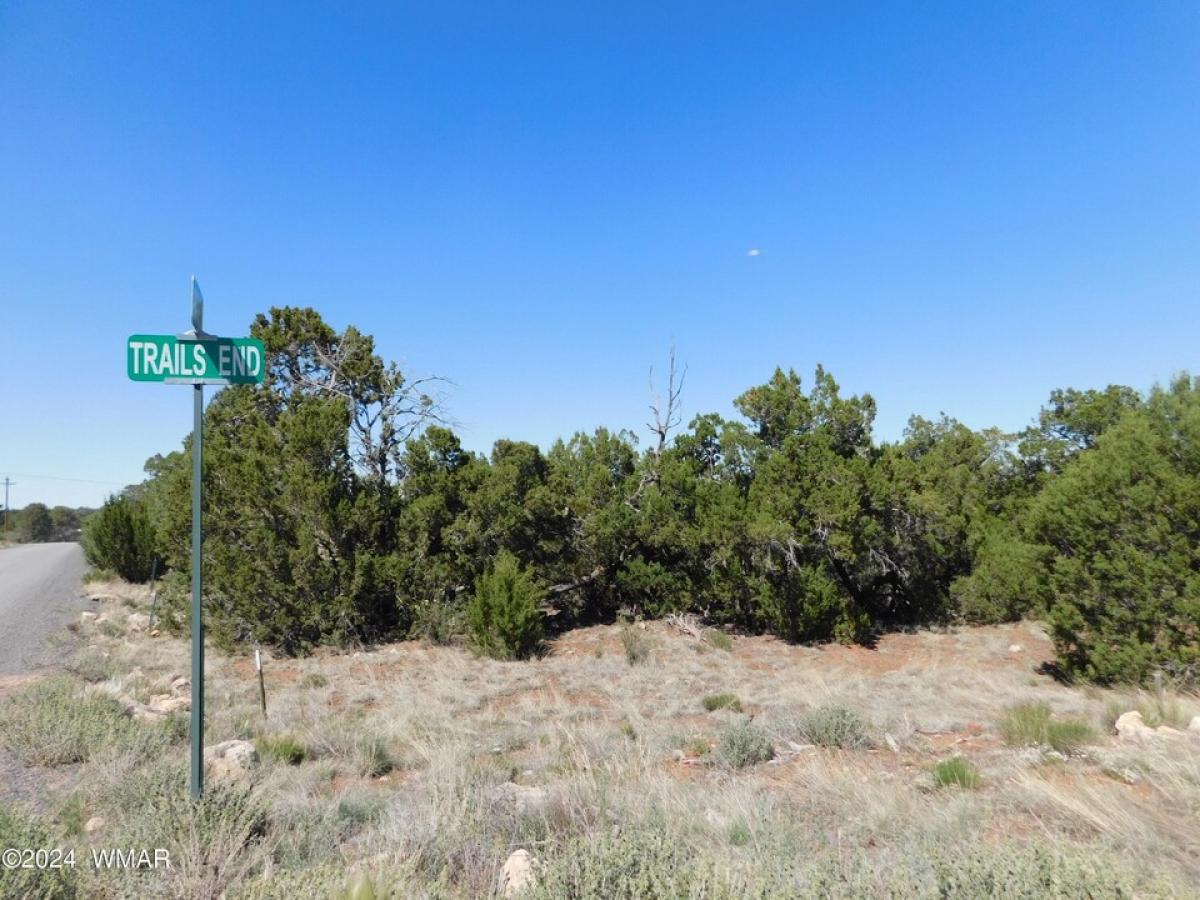 Picture of Residential Land For Sale in Overgaard, Arizona, United States