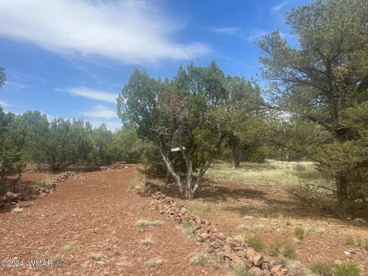 Picture of Residential Land For Sale in Vernon, Arizona, United States