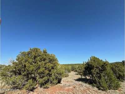 Residential Land For Sale in Vernon, Arizona