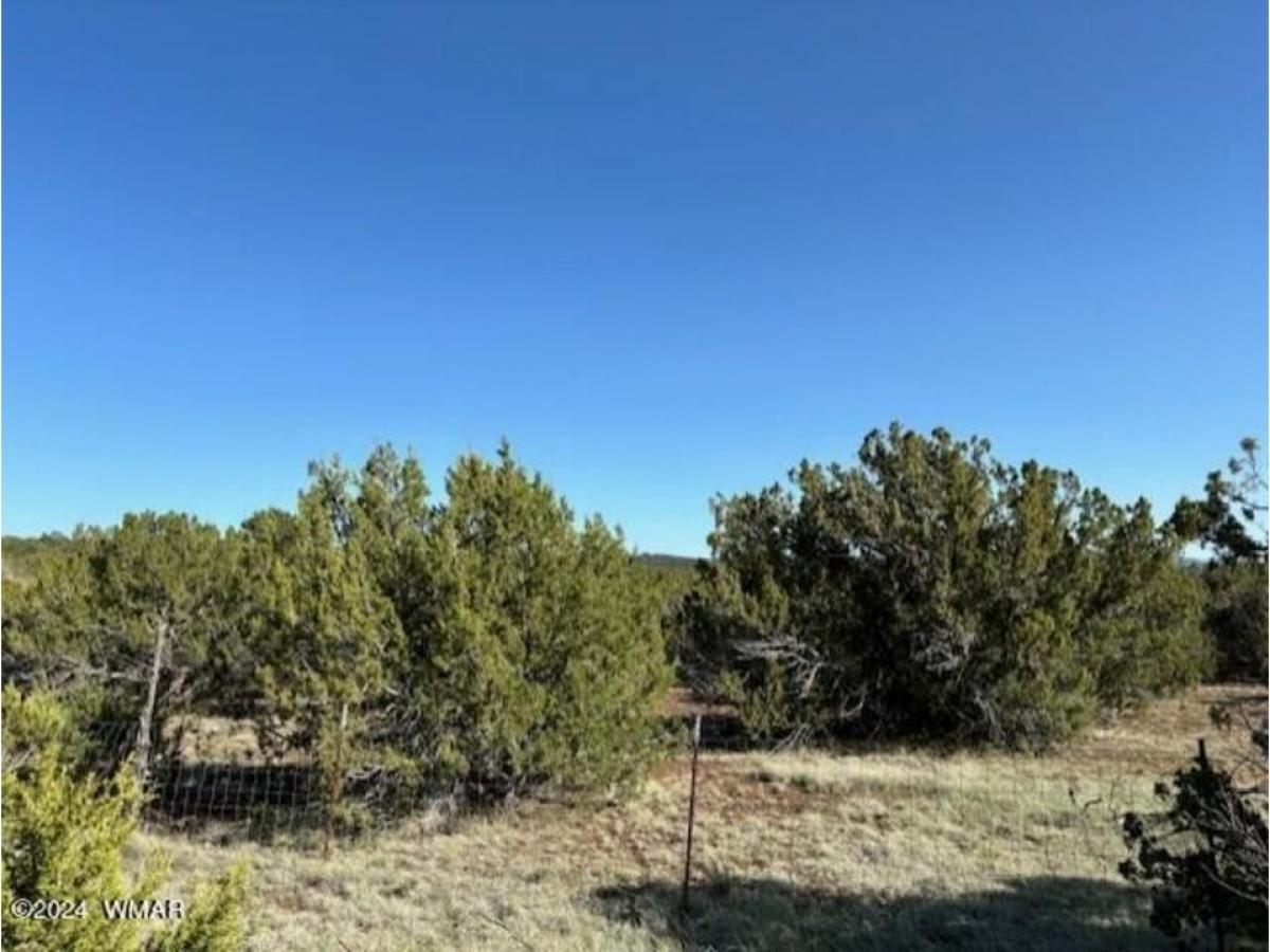 Picture of Residential Land For Sale in Vernon, Arizona, United States