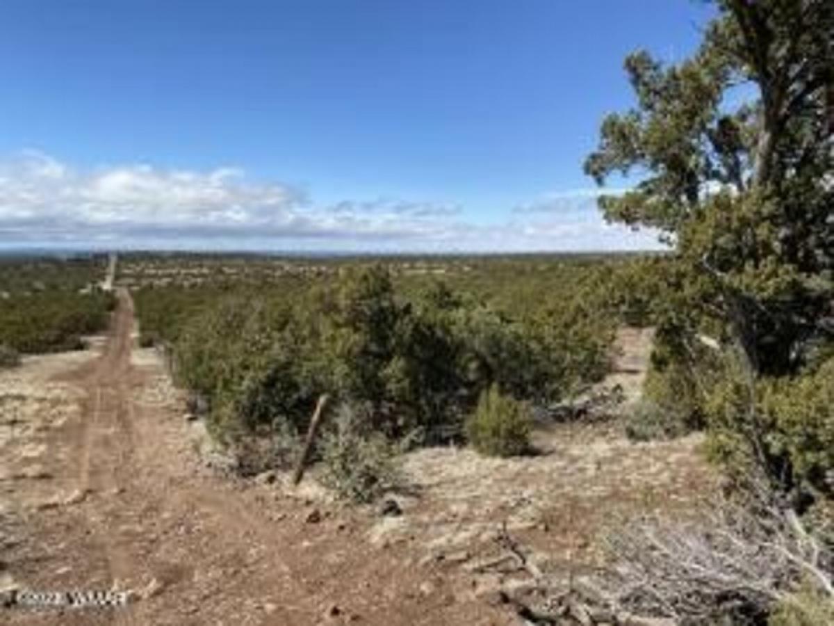 Picture of Residential Land For Sale in Vernon, Arizona, United States