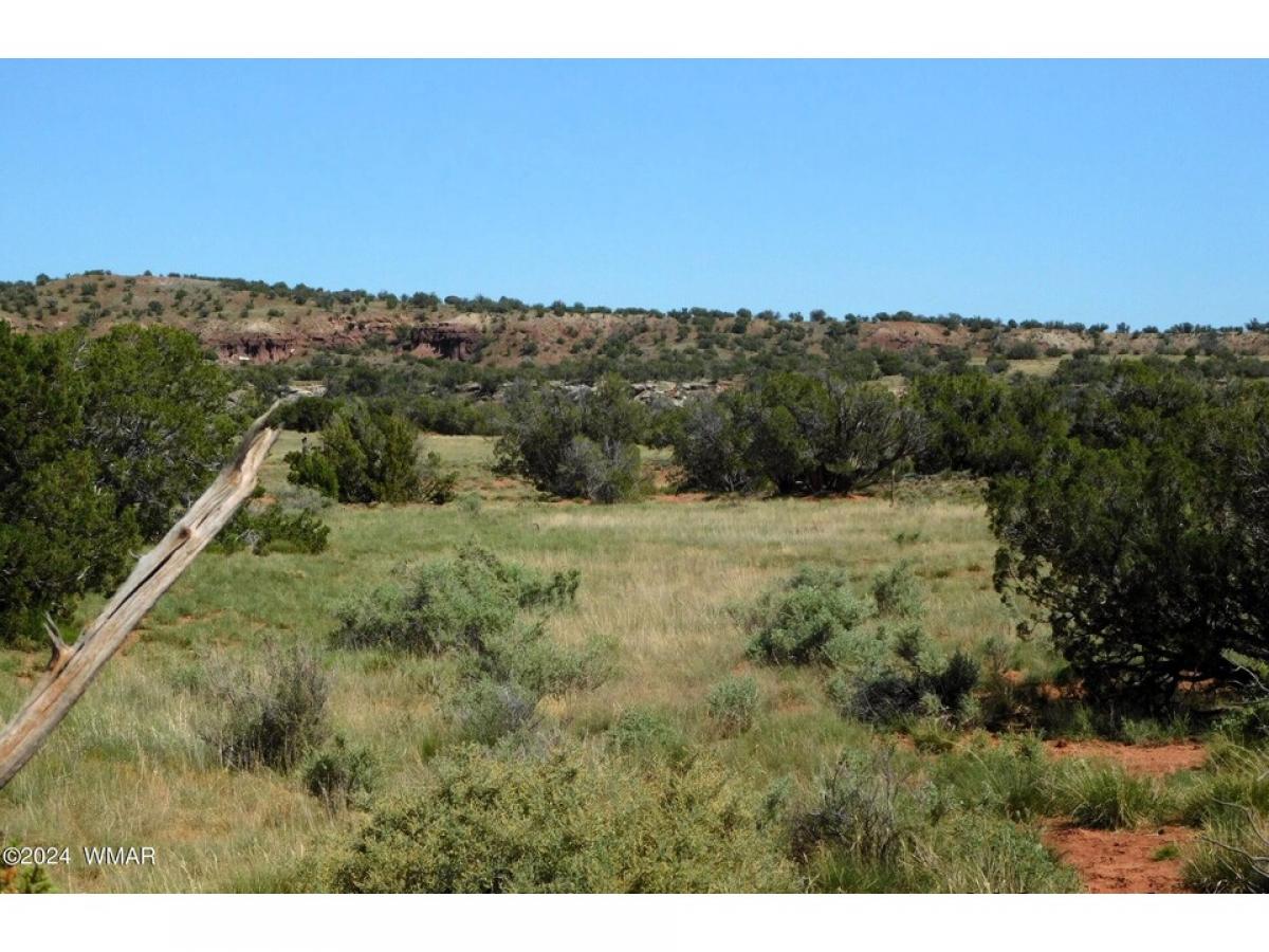 Picture of Residential Land For Sale in Concho Valley, Arizona, United States