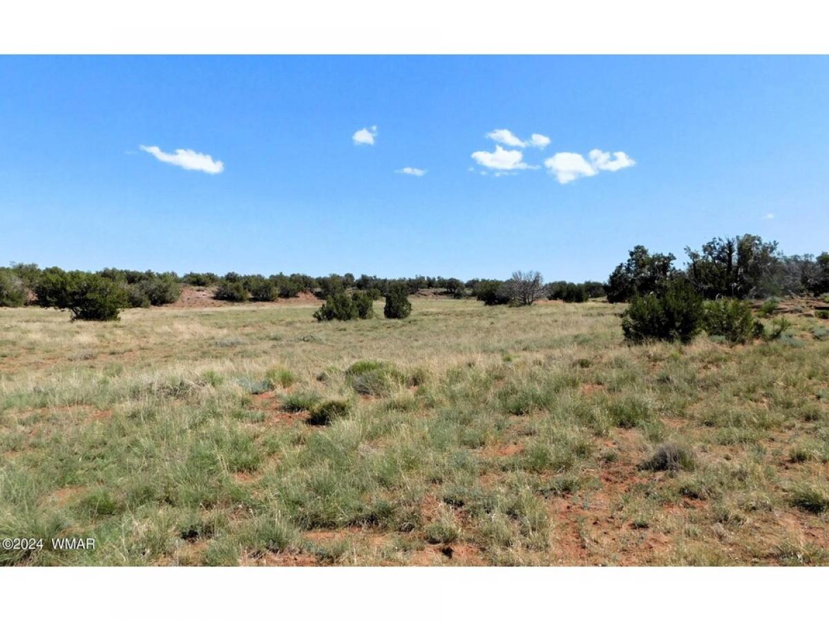 Picture of Residential Land For Sale in Concho Valley, Arizona, United States