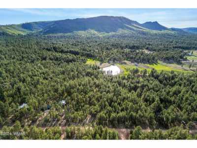 Residential Land For Sale in Alpine, Arizona