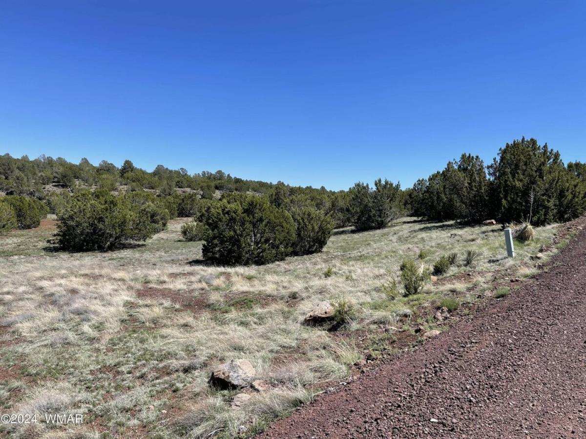 Picture of Residential Land For Sale in Vernon, Arizona, United States