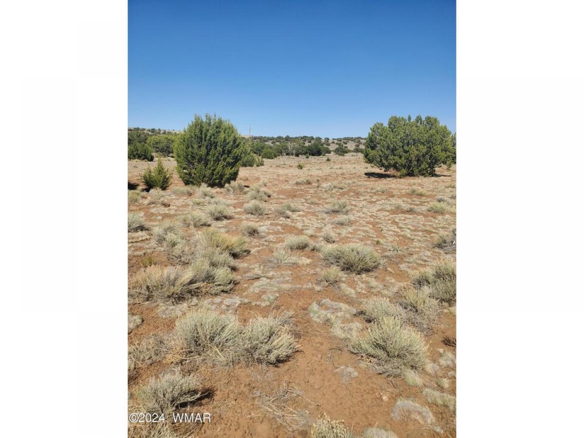 Picture of Residential Land For Sale in Saint Johns, Arizona, United States