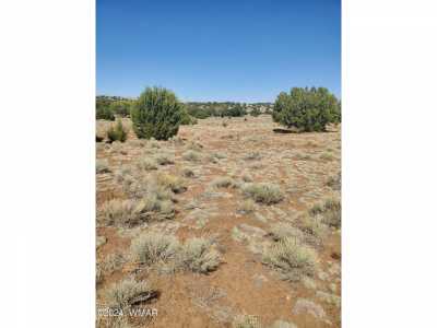 Residential Land For Sale in Saint Johns, Arizona