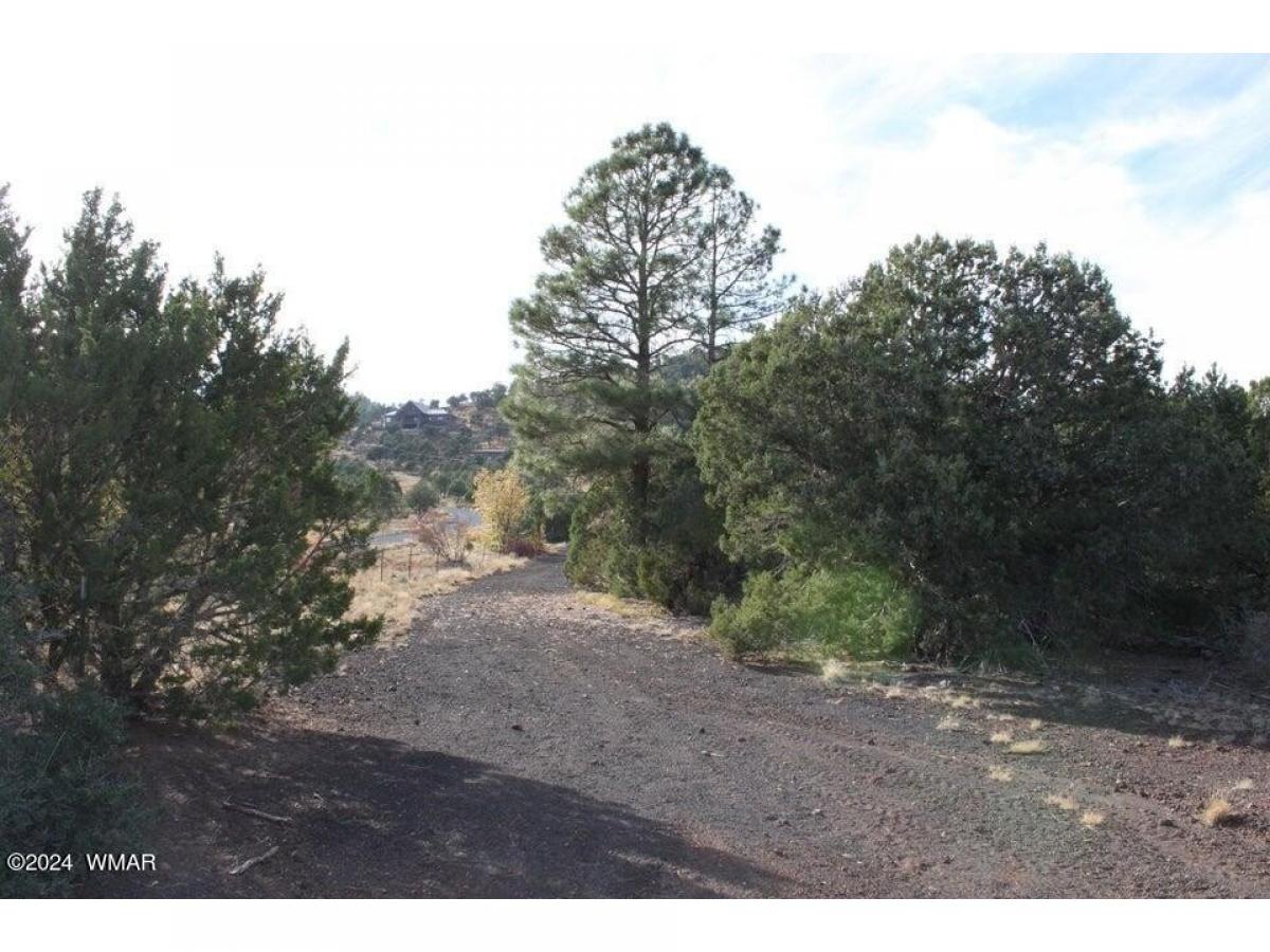 Picture of Residential Land For Sale in Vernon, Arizona, United States