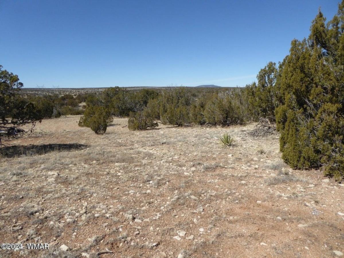 Picture of Residential Land For Sale in Heber, Arizona, United States