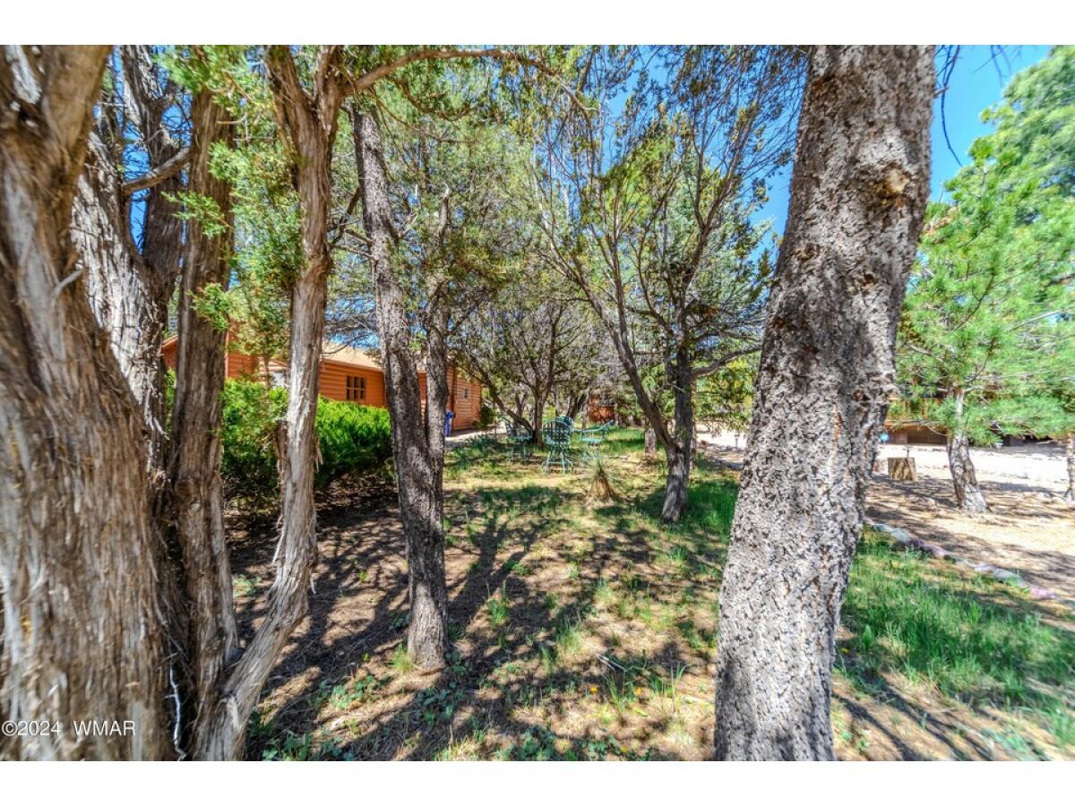 Picture of Home For Sale in Overgaard, Arizona, United States