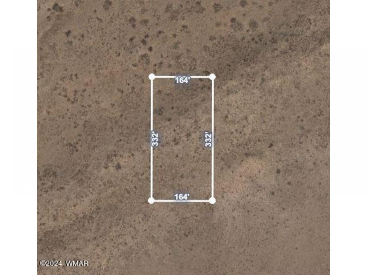 Picture of Residential Land For Sale in Sun Valley, Arizona, United States