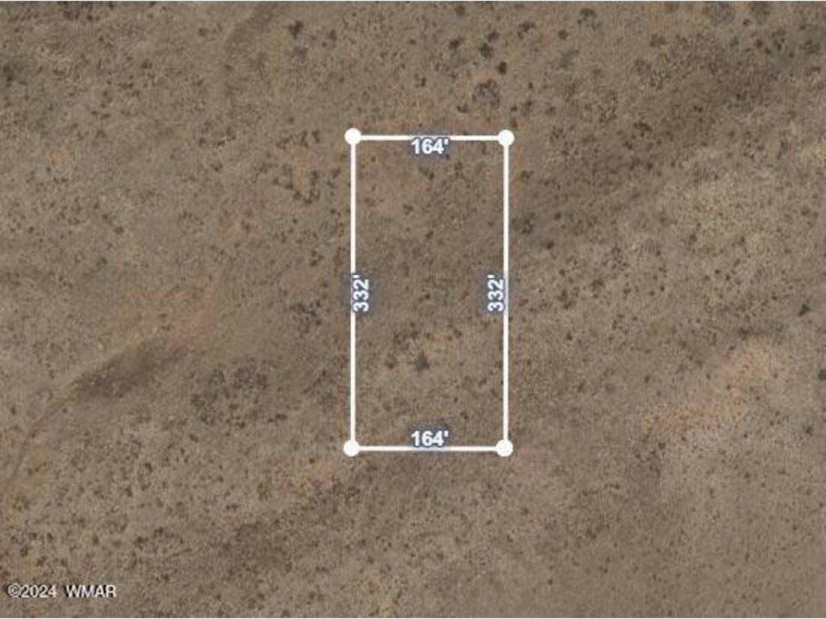 Picture of Residential Land For Sale in Sun Valley, Arizona, United States