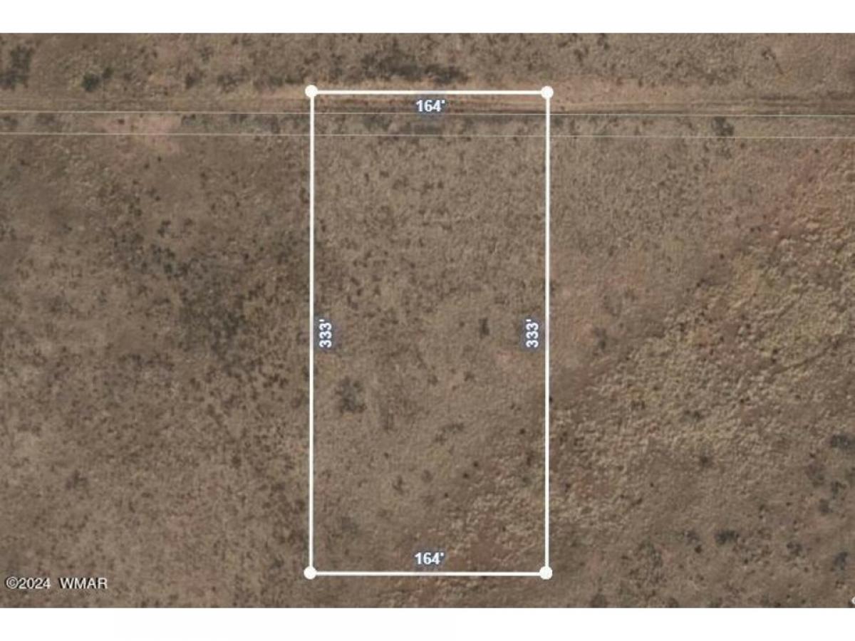 Picture of Residential Land For Sale in Sun Valley, Arizona, United States