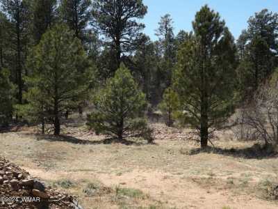 Residential Land For Sale in Heber, Arizona