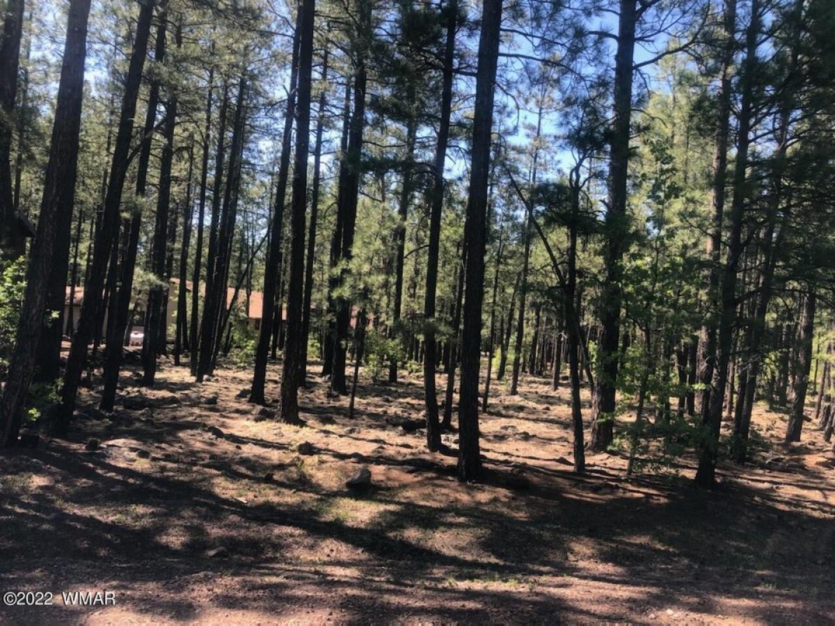 Picture of Residential Land For Sale in Pinetop, Arizona, United States