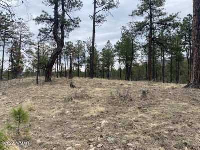 Residential Land For Sale in Alpine, Arizona