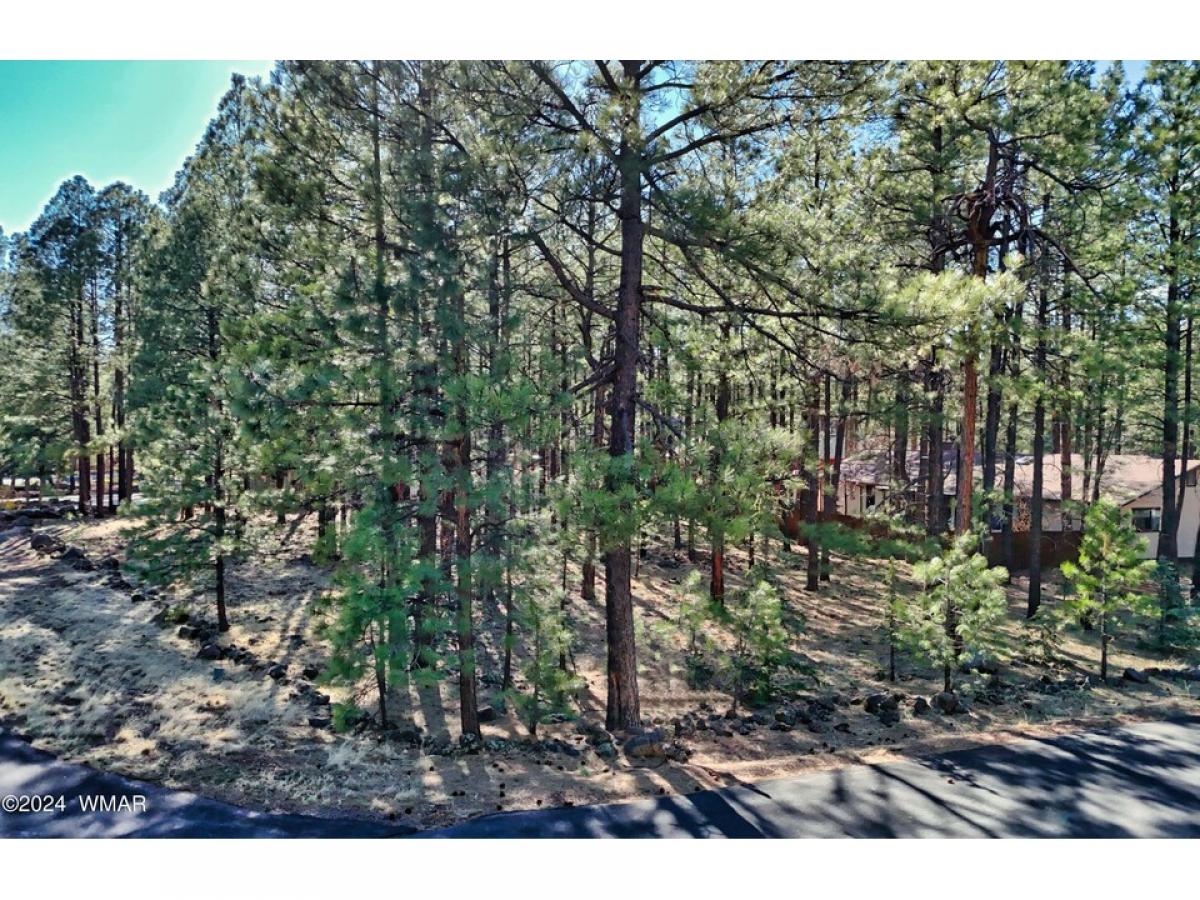 Picture of Residential Land For Sale in Pinetop, Arizona, United States