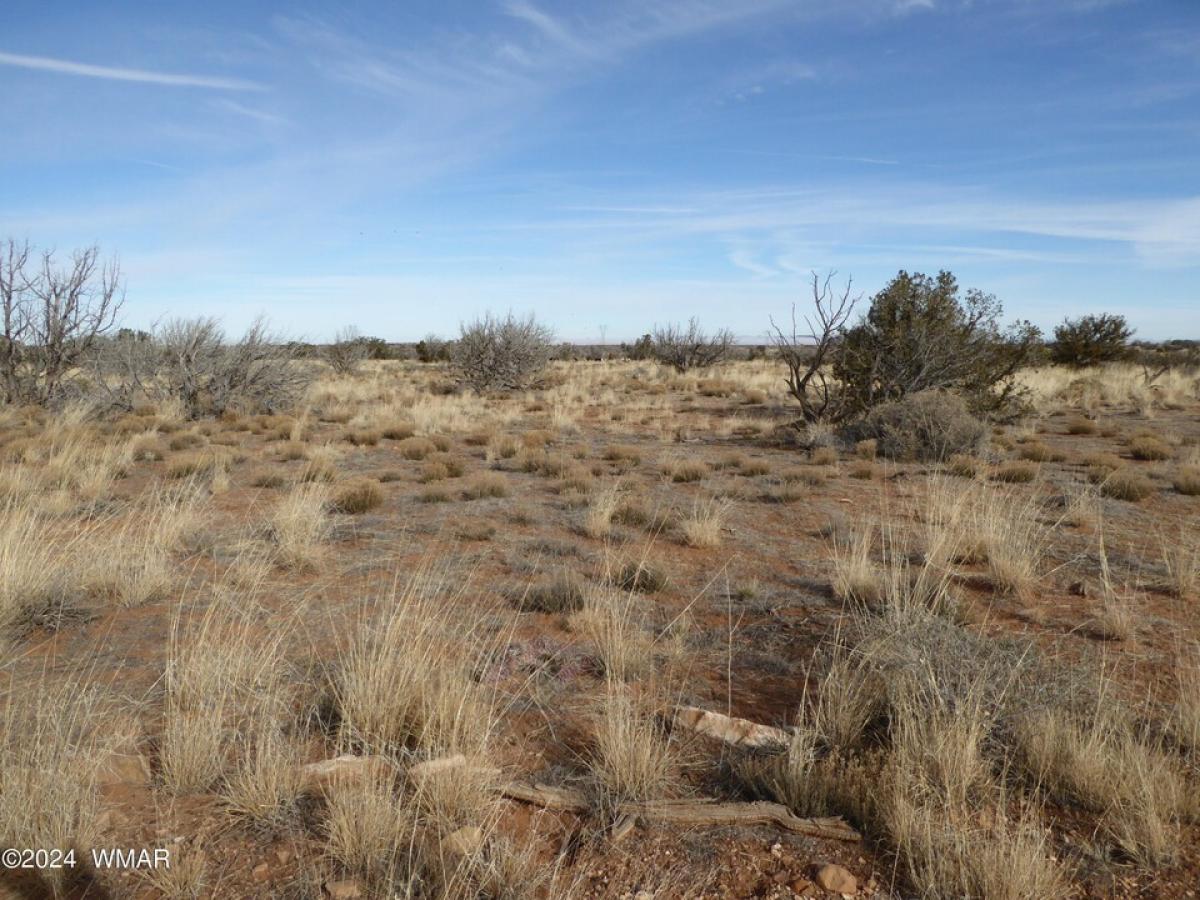 Picture of Residential Land For Sale in Heber, Arizona, United States