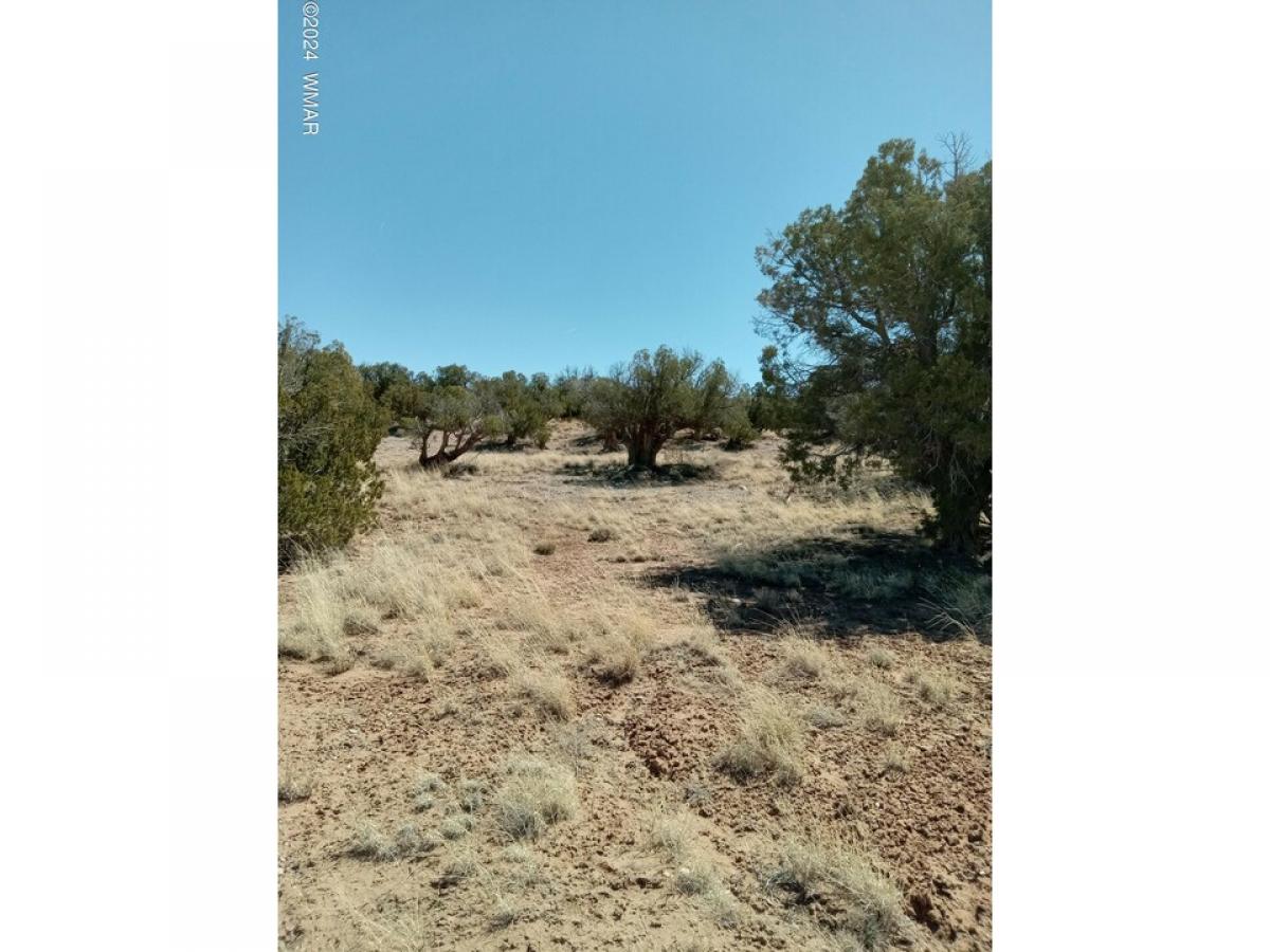 Picture of Residential Land For Sale in Snowflake, Arizona, United States