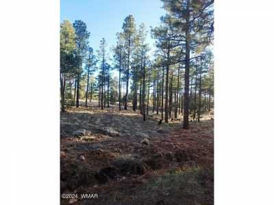 Residential Land For Sale in Overgaard, Arizona