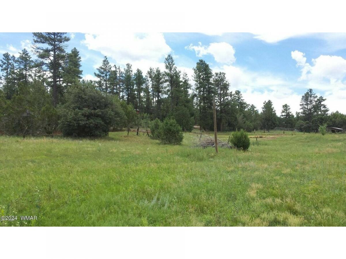 Picture of Residential Land For Sale in Pinedale, Arizona, United States