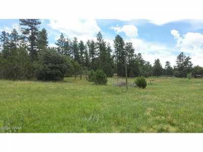 Residential Land For Sale in Pinedale, Arizona