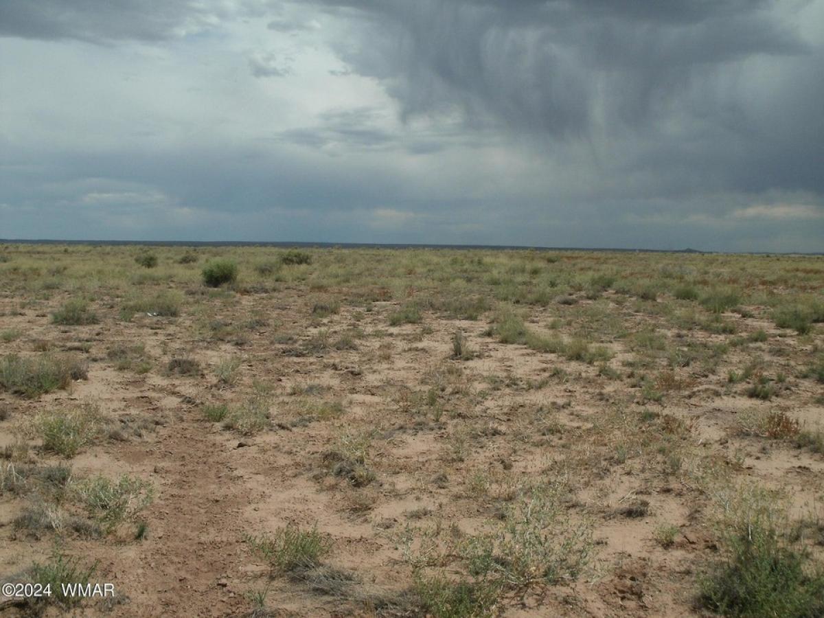 Picture of Residential Land For Sale in Sun Valley, Arizona, United States