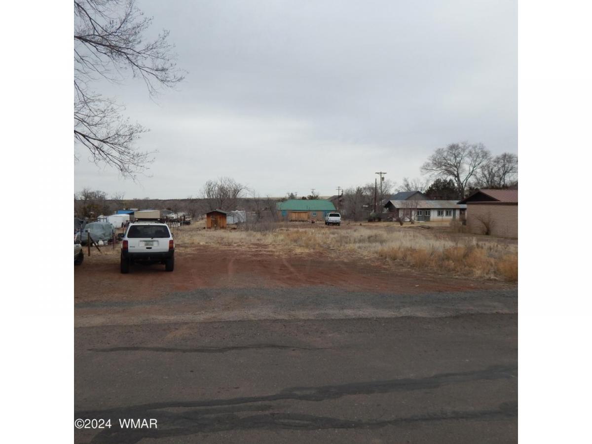 Picture of Residential Land For Sale in Springerville, Arizona, United States