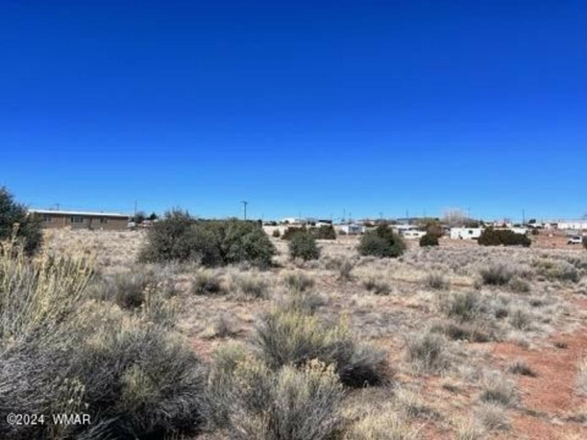 Picture of Residential Land For Sale in Snowflake, Arizona, United States