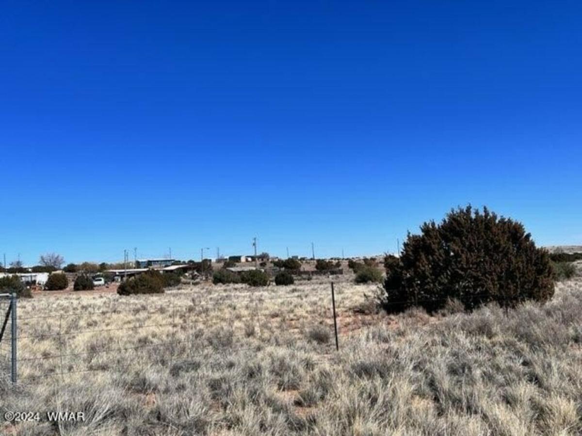 Picture of Residential Land For Sale in Snowflake, Arizona, United States