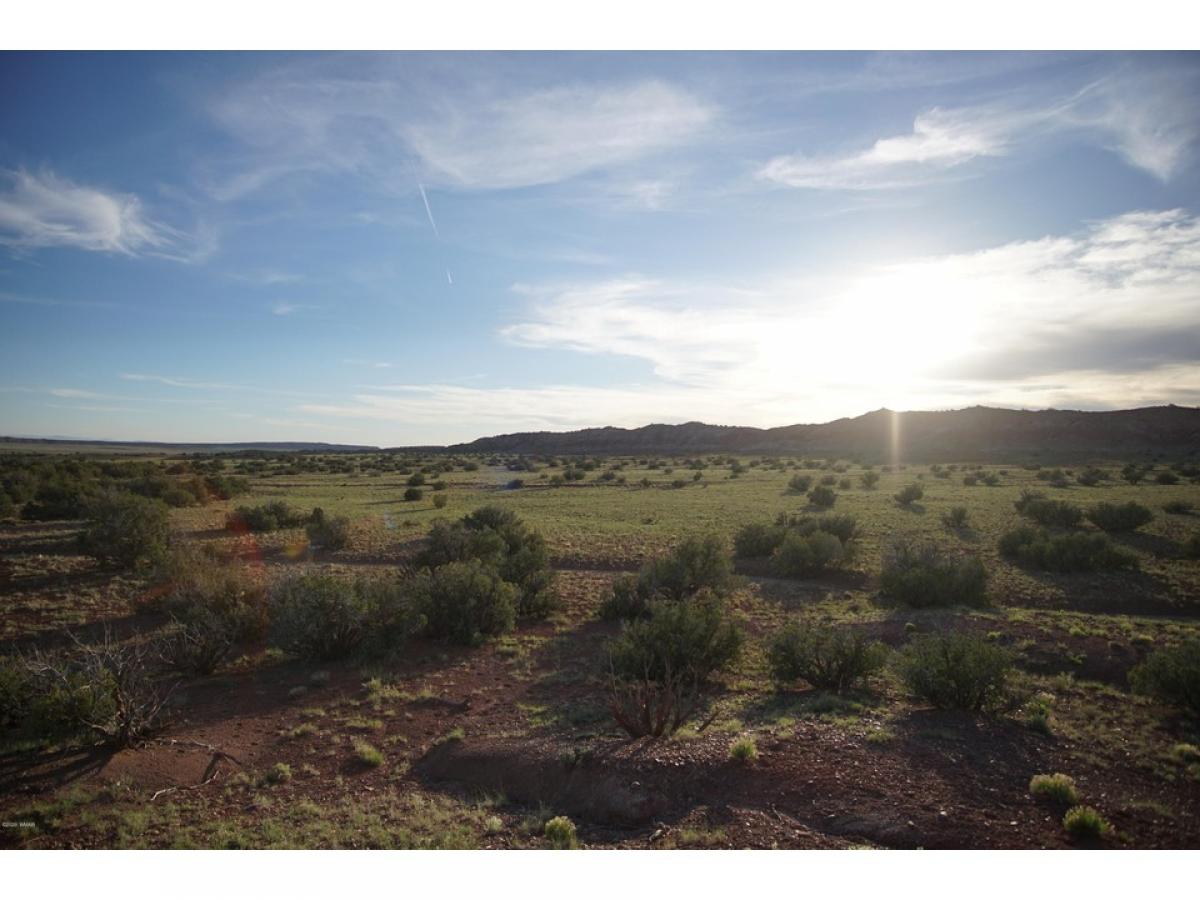 Picture of Residential Land For Sale in Saint Johns, Arizona, United States