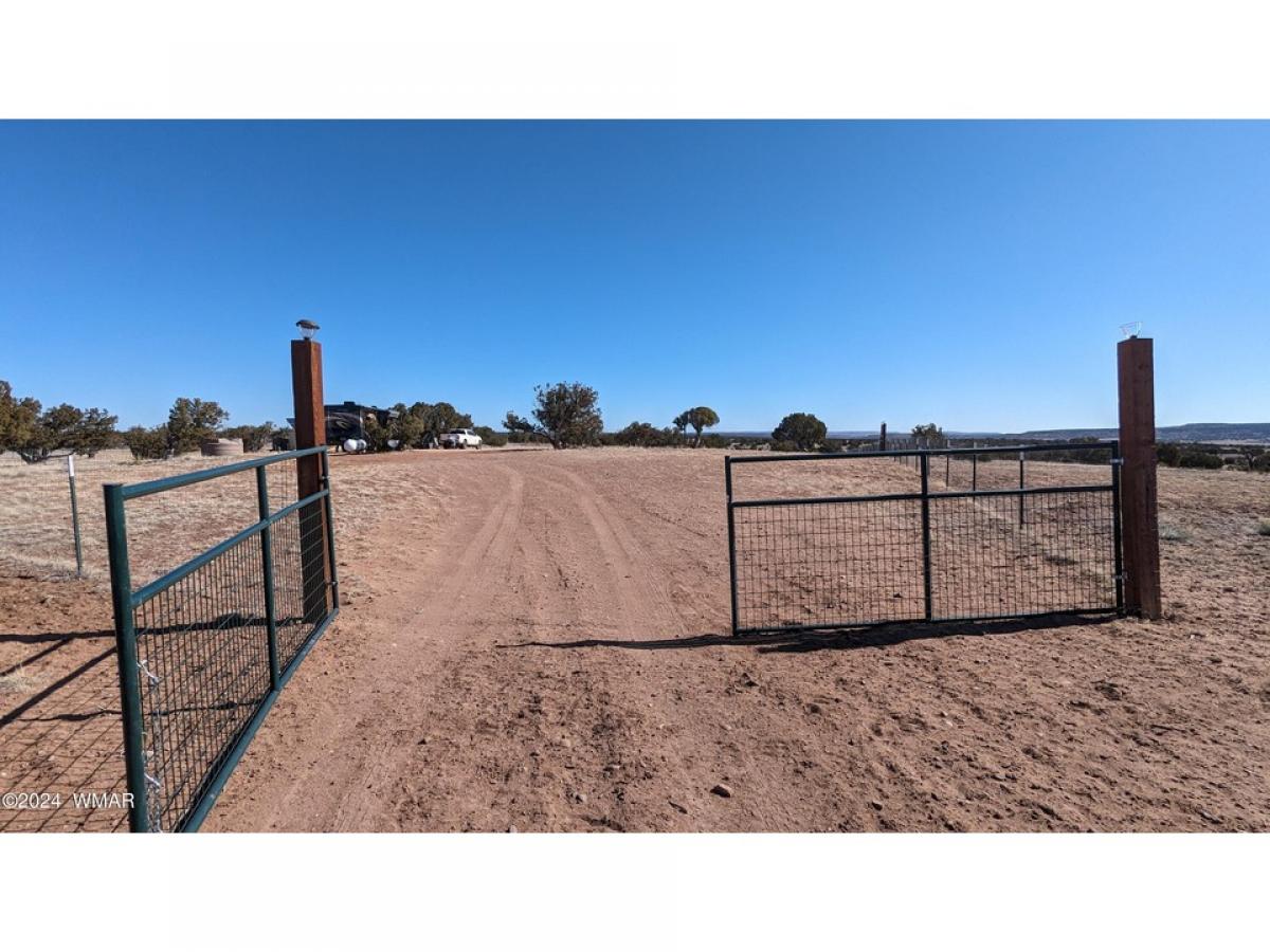 Picture of Residential Land For Sale in Saint Johns, Arizona, United States