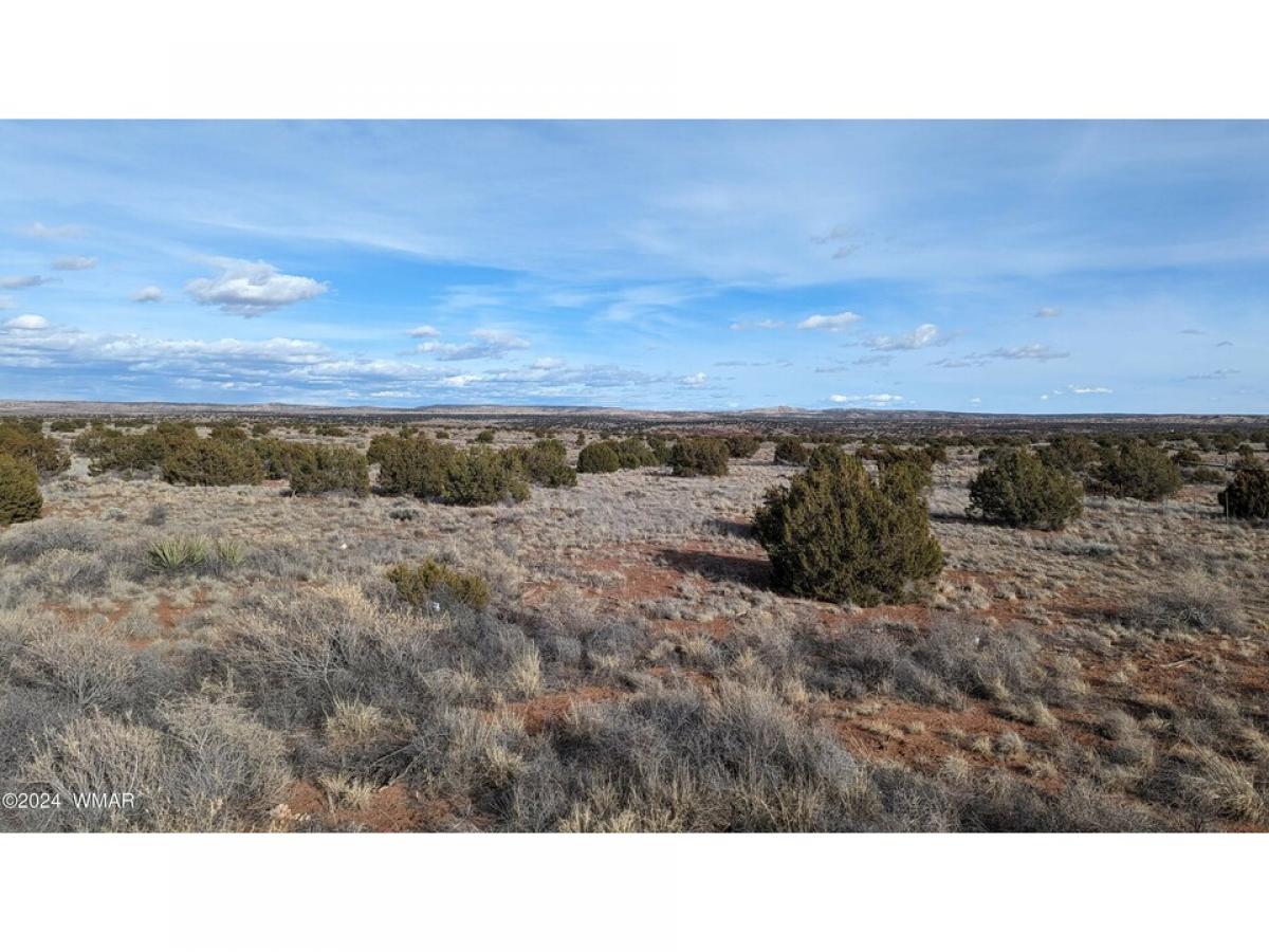 Picture of Residential Land For Sale in Saint Johns, Arizona, United States