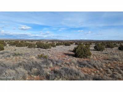 Residential Land For Sale in Saint Johns, Arizona