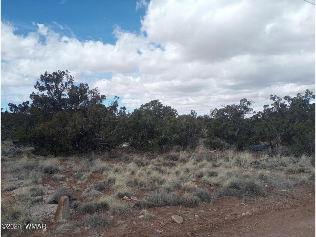 Picture of Residential Land For Sale in Snowflake, Arizona, United States