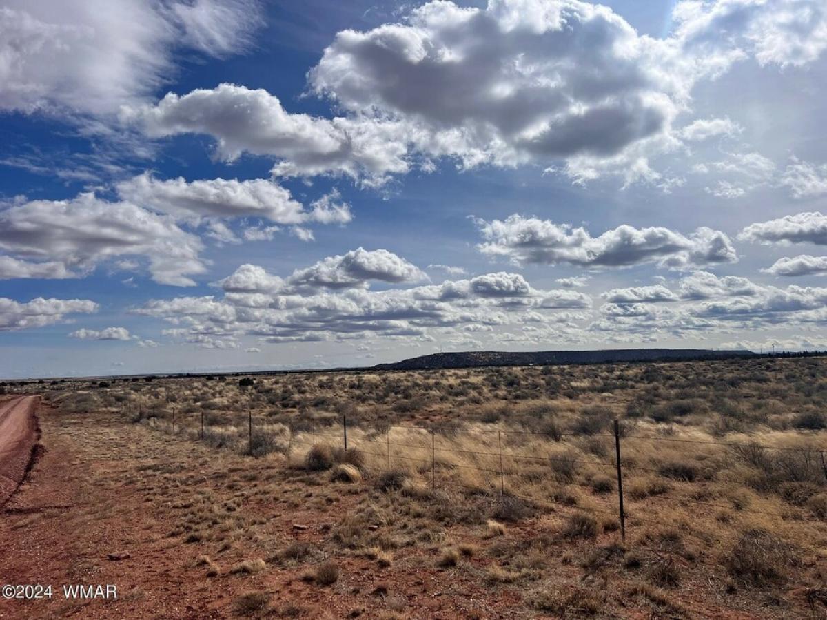 Picture of Residential Land For Sale in Snowflake, Arizona, United States