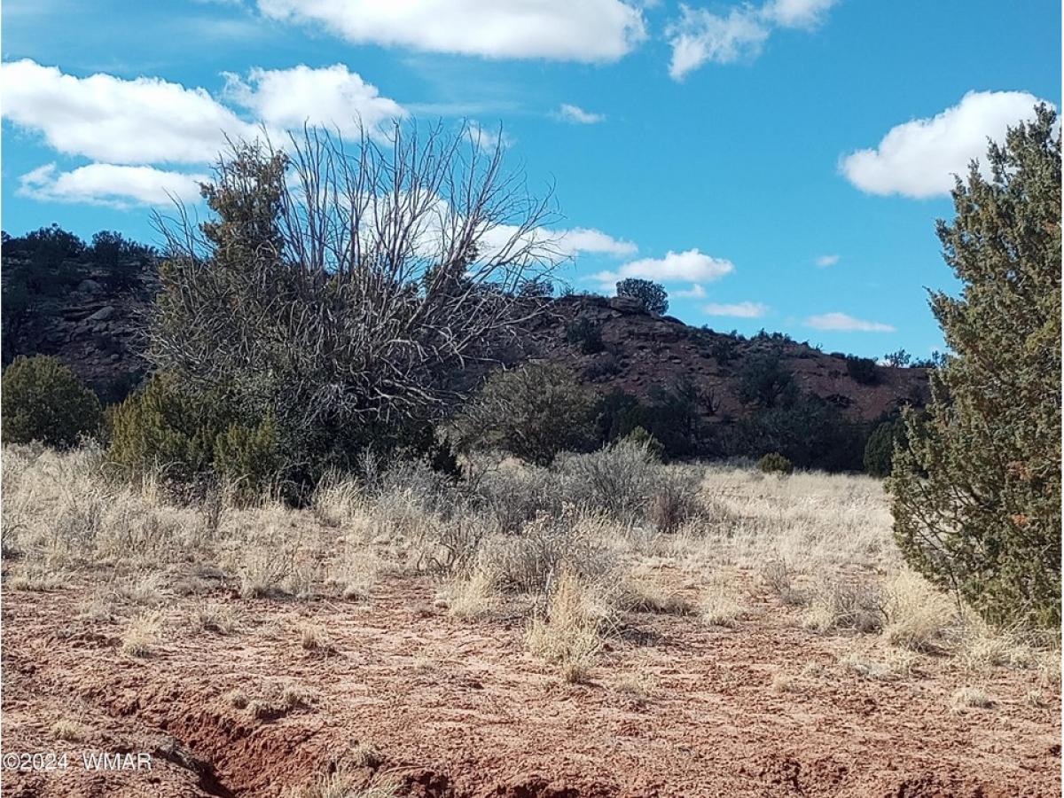 Picture of Residential Land For Sale in Snowflake, Arizona, United States