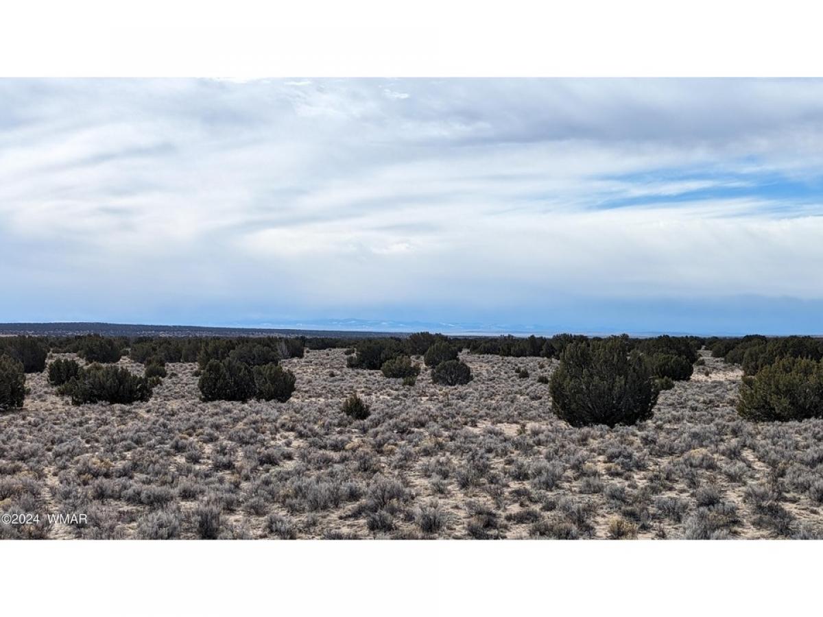 Picture of Residential Land For Sale in Saint Johns, Arizona, United States