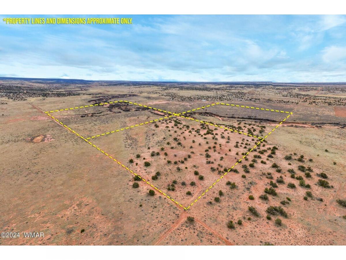 Picture of Residential Land For Sale in Snowflake, Arizona, United States