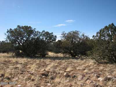 Residential Land For Sale in Heber, Arizona