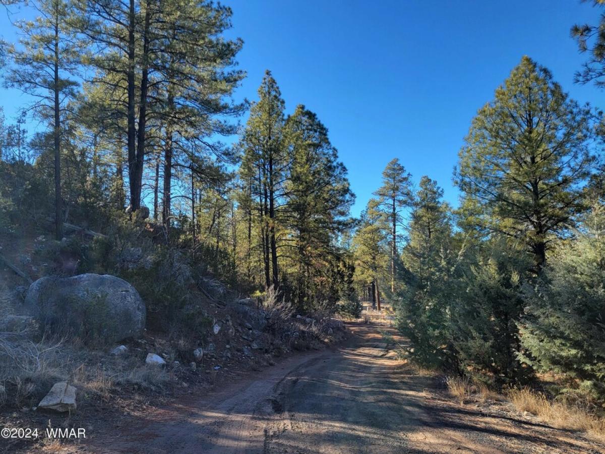 Picture of Residential Land For Sale in Heber, Arizona, United States