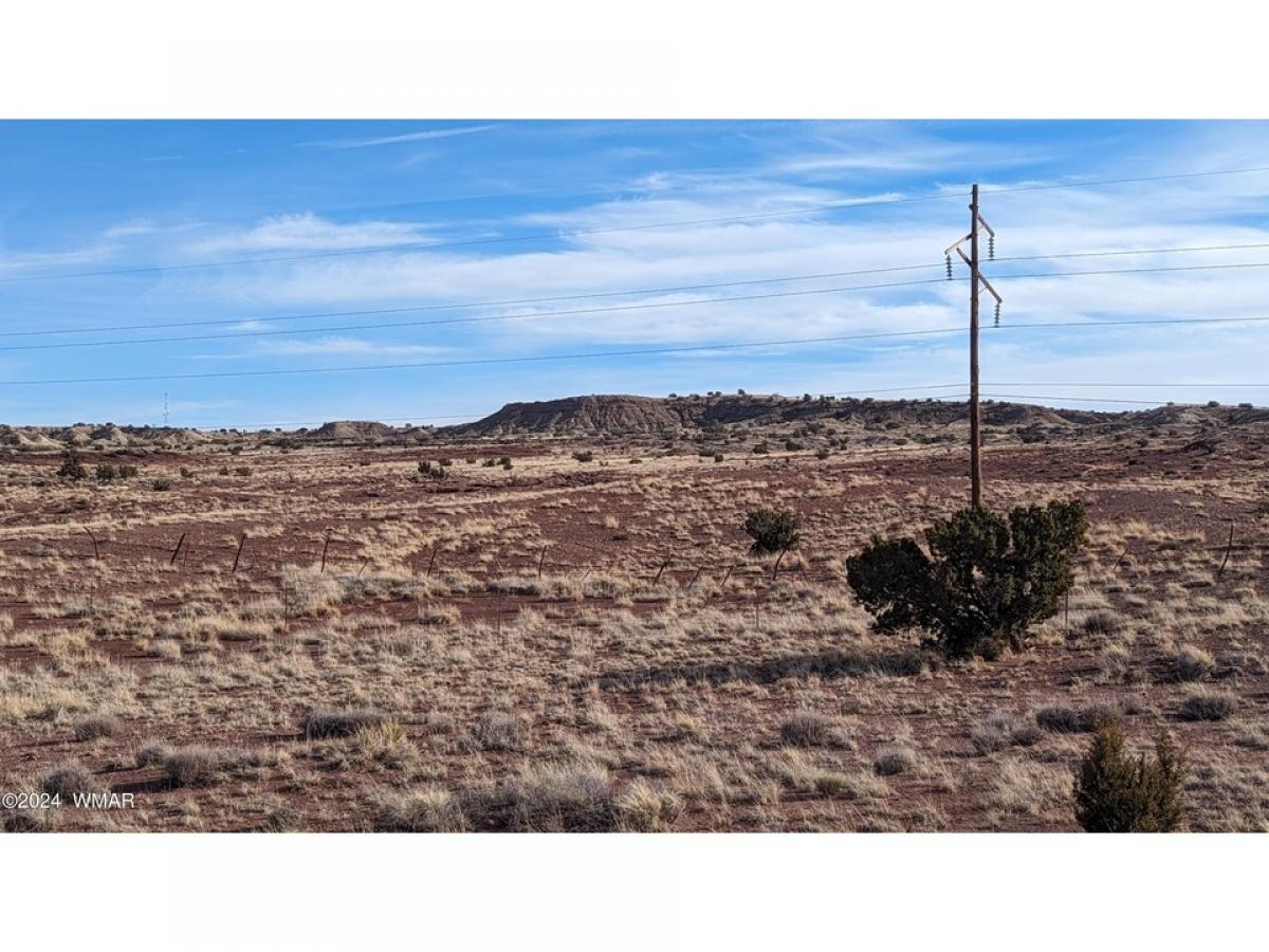 Picture of Residential Land For Sale in Saint Johns, Arizona, United States