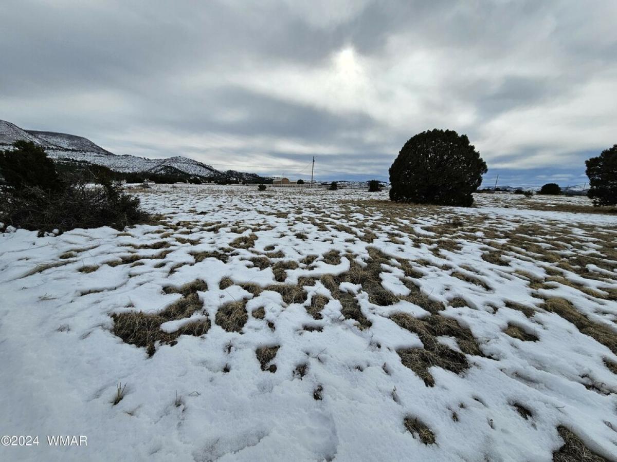 Picture of Residential Land For Sale in Nutrioso, Arizona, United States