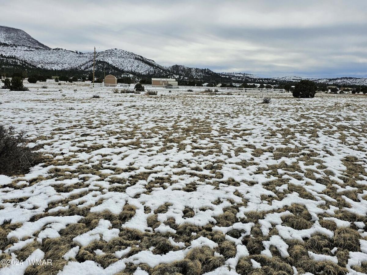 Picture of Residential Land For Sale in Nutrioso, Arizona, United States