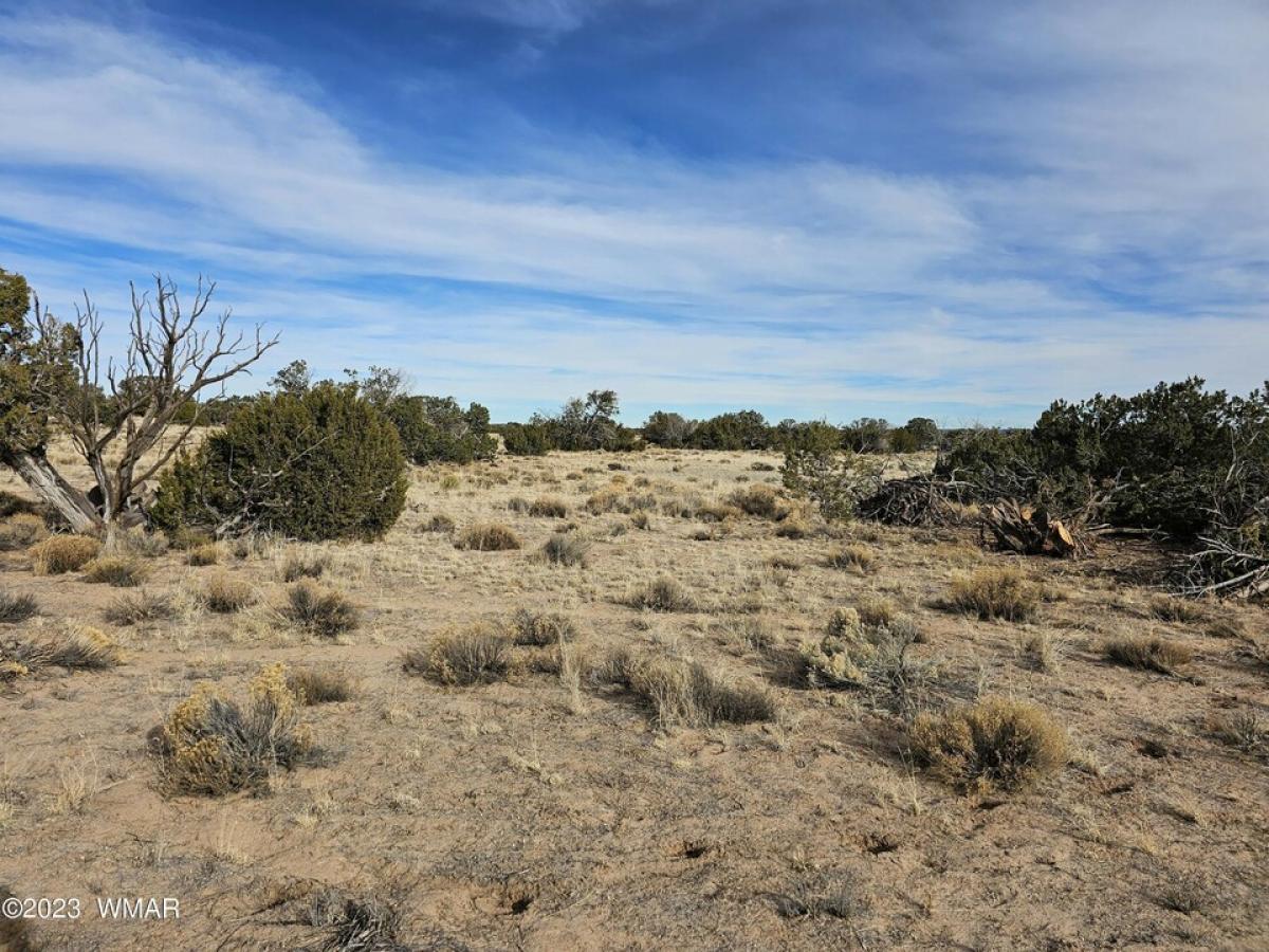 Picture of Residential Land For Sale in Saint Johns, Arizona, United States