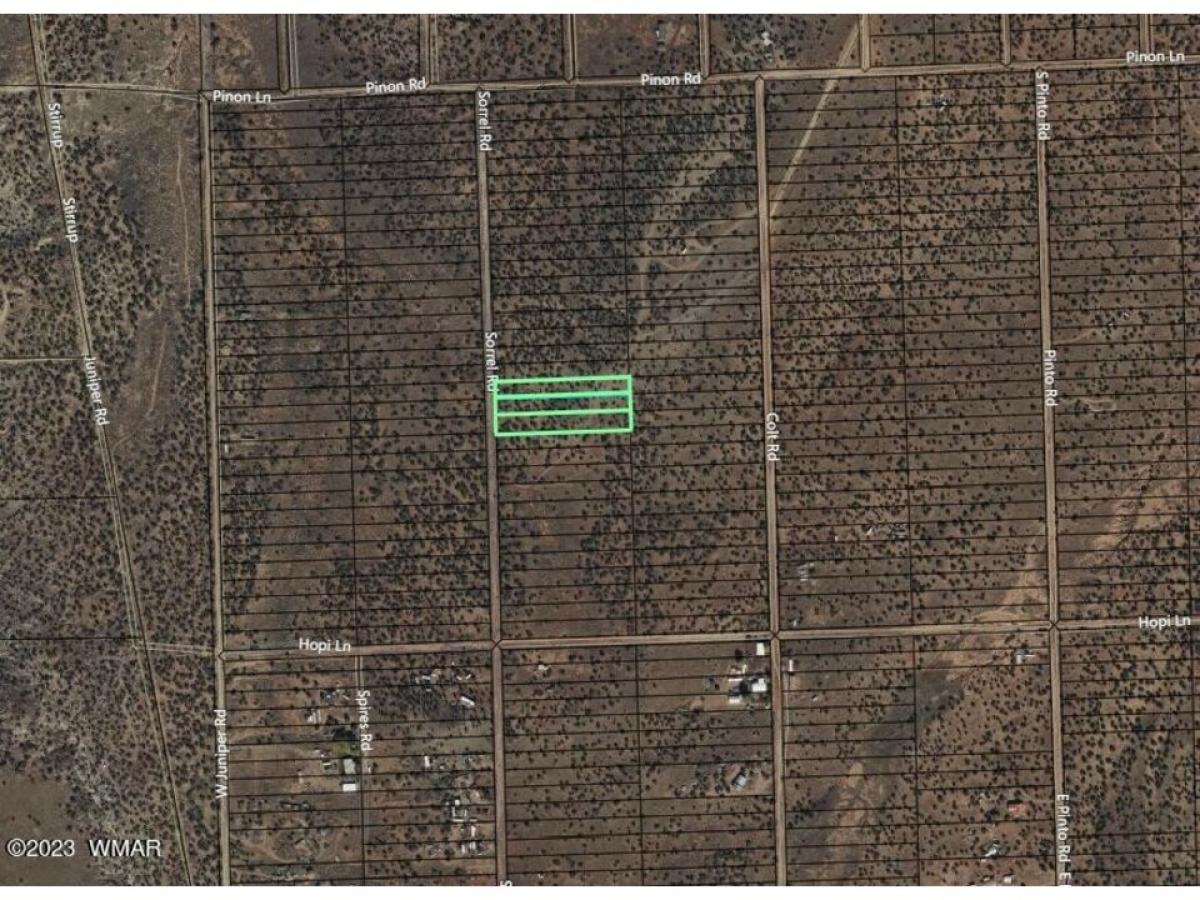 Picture of Residential Land For Sale in Snowflake, Arizona, United States