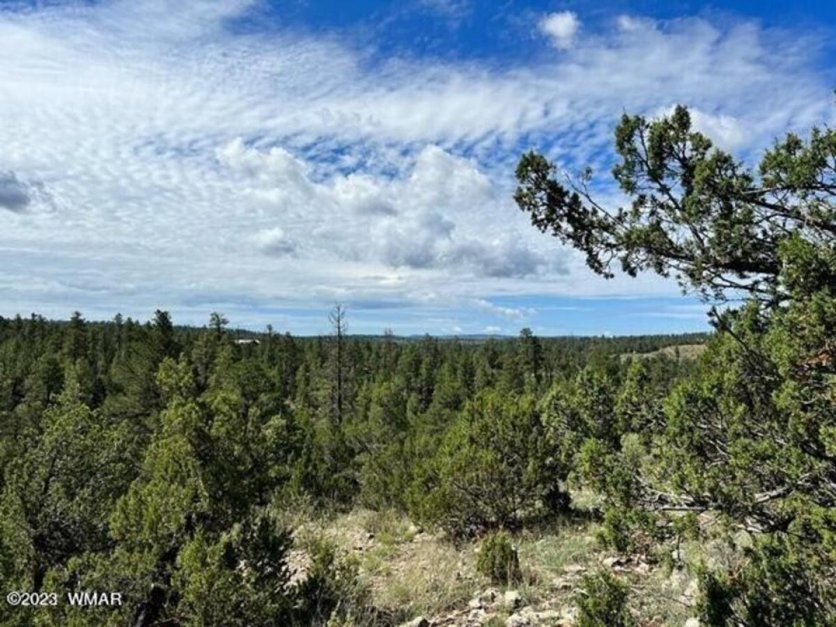 Picture of Residential Land For Sale in Heber, Arizona, United States