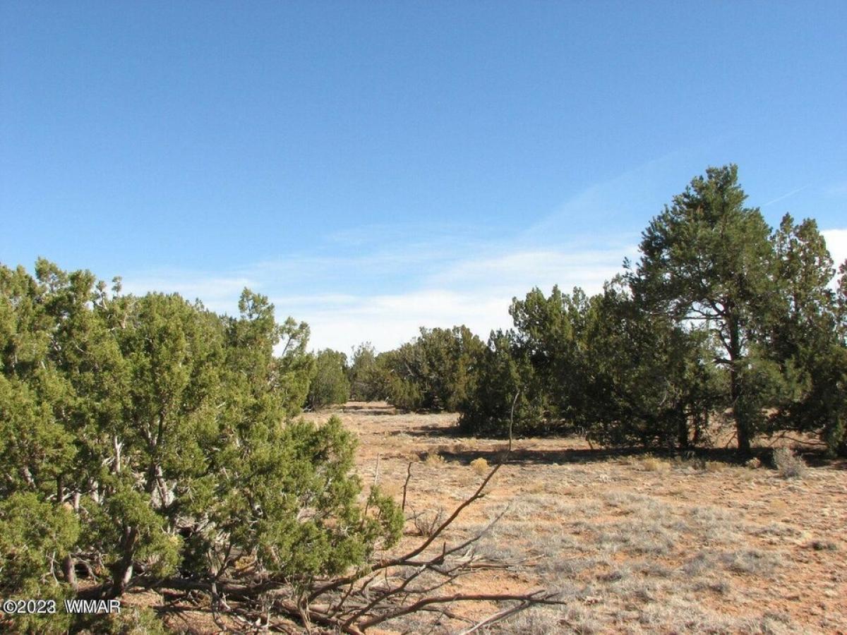 Picture of Residential Land For Sale in Heber, Arizona, United States