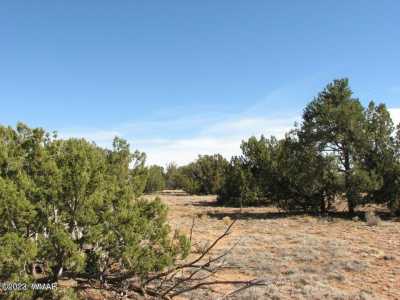 Residential Land For Sale in Heber, Arizona