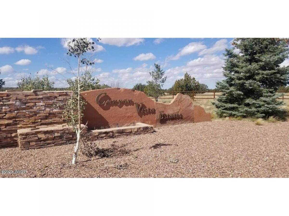 Picture of Residential Land For Sale in Shumway, Arizona, United States